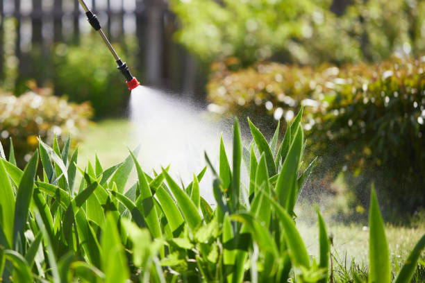 24/7 Emergency Mosquito Control experts in Golden Grove, SC